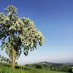 Zur Linde Πανδοχείο Neuhofen an der Ybbs