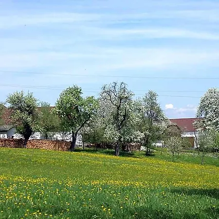 Zur Linde Kro