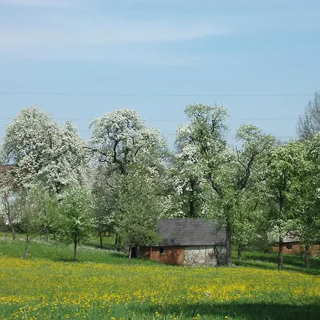 Gasthof Zur Linde Neuhofen an der Ybbs