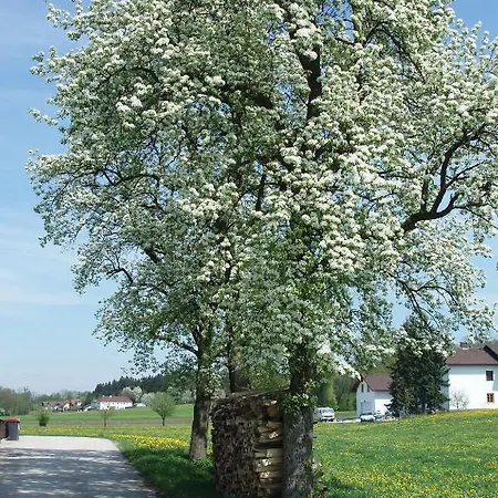 Zajazd Zur Linde