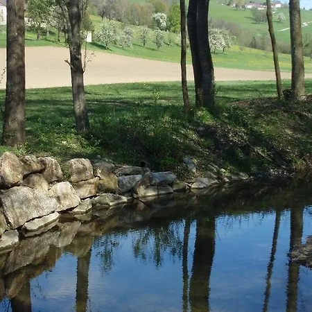 Zur Linde Neuhofen an der Ybbs