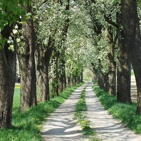 Gasthof Zur Linde 3*