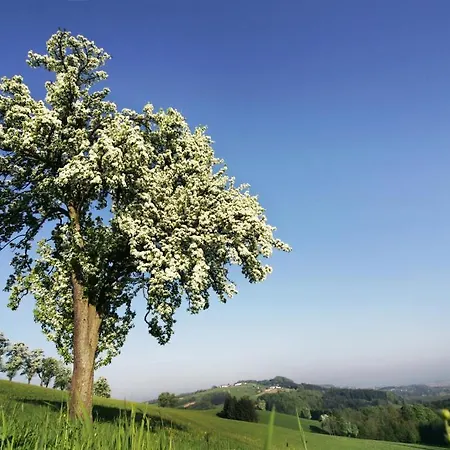 Zur Linde Herberg Neuhofen an der Ybbs