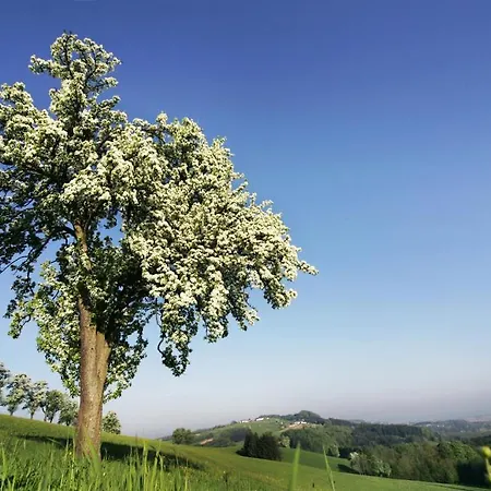 Zur Linde Inn Neuhofen an der Ybbs