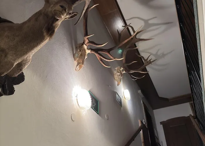 Zur Linde Neuhofen an der Ybbs