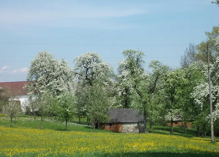 Värdshus Zur Linde Neuhofen an der Ybbs