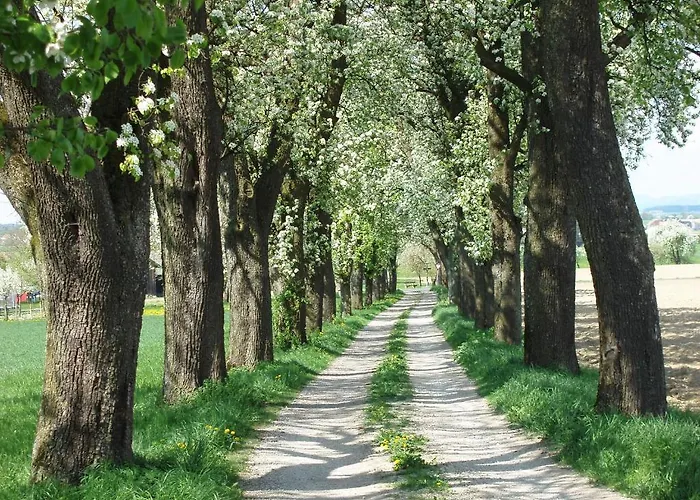 Locanda Zur Linde 3*