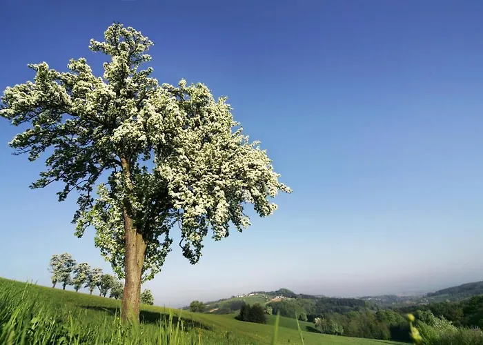 Zur Linde Värdshus Neuhofen an der Ybbs